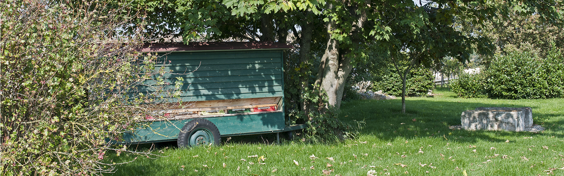 Header Langenmosen 018